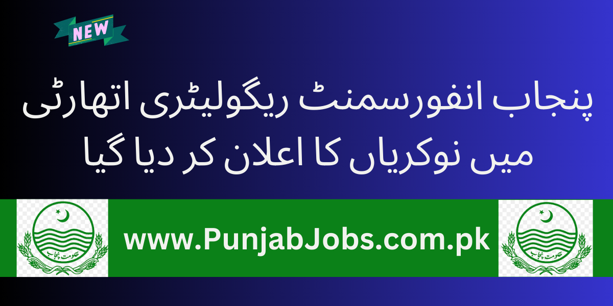 Punjab Enforcement Regulatory Authority Jobs 2025