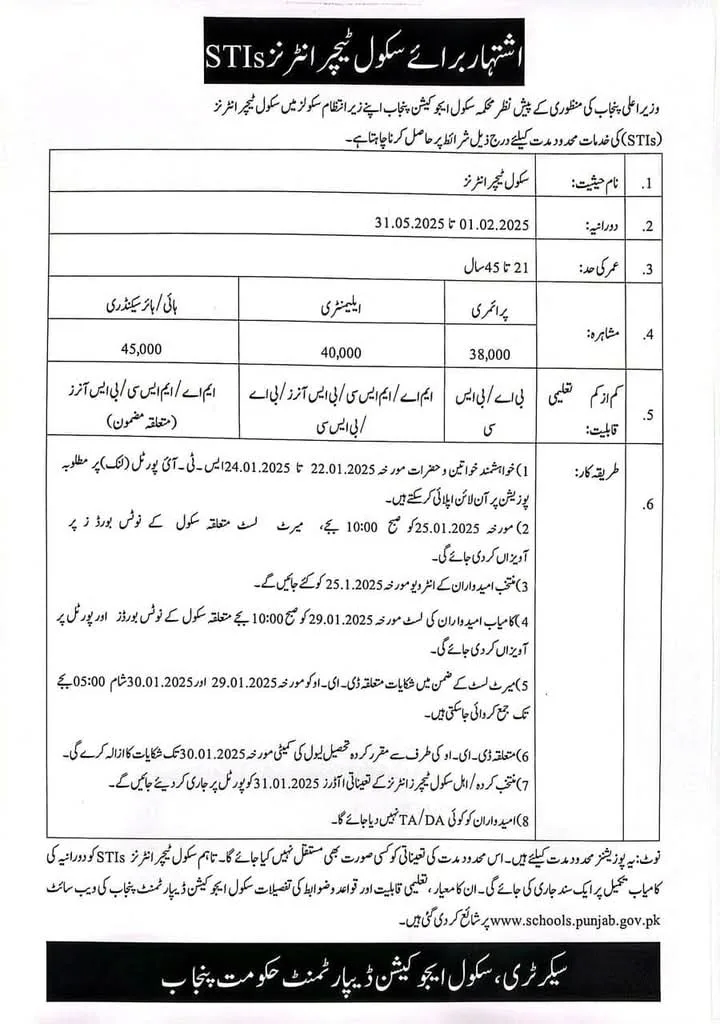 Download Application Form for STI Jobs 2025 | schools punjab gov pk